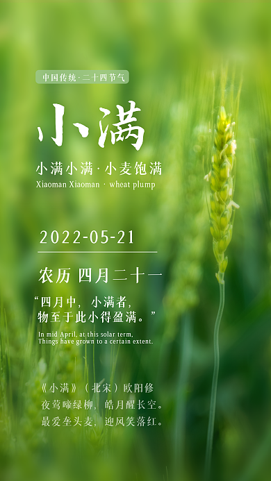 绿色小麦小满小满小麦饱满小满手机海报