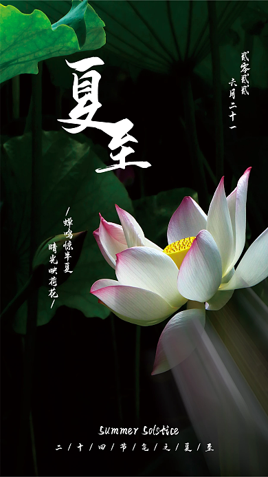 二十四节气之蝉鸣惊半夏晴光映荷花