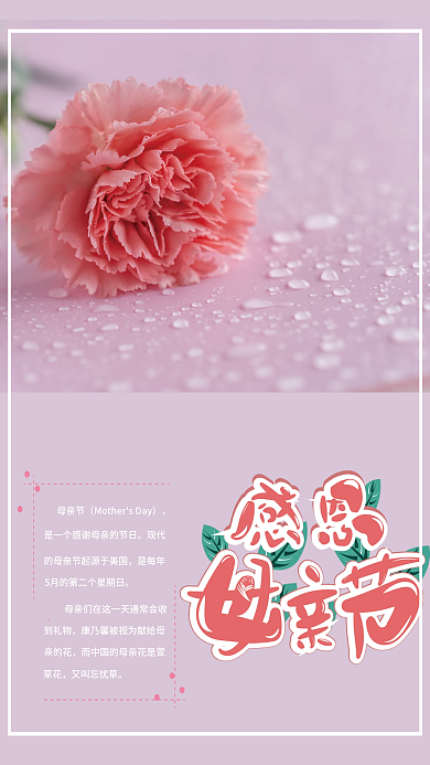 母亲节康乃馨母亲节现代海报