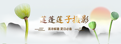 简约中国风莲子摄影图banner