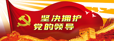 手绘党建党的领导坚决拥护党旗长城鸽子光芒