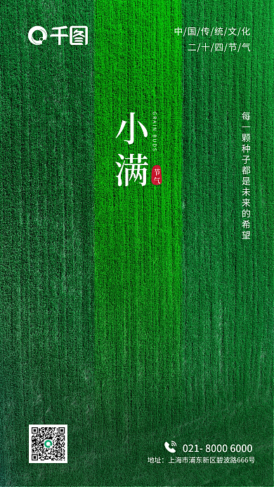 小满夏至中国传统节日二十四节气地产海报