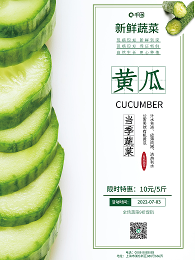 蔬菜花瓜汁水充沛皮薄肉嫩海报