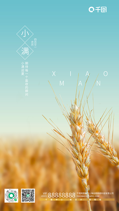 二十四节气小满摄影图小麦手机营销海报