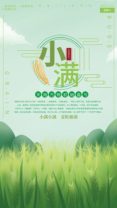 简约小满一候苦菜秀二候靡草死节气海报