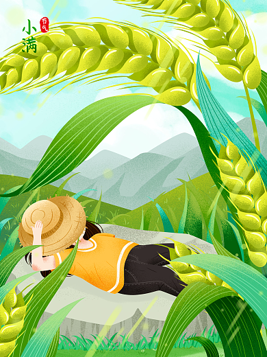 清新二十四节气饱满插画