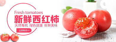 番茄西红柿新鲜西红柿立即购买海报banner