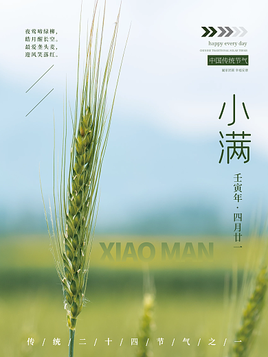简约二十四节气小满夜莺啼绿柳海报配图