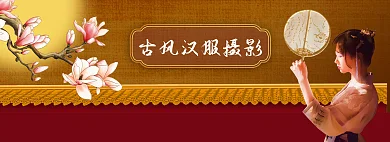 banner传统中国风摄影玉兰花