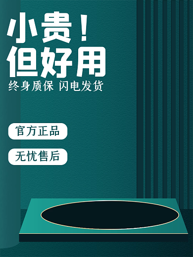 墨绿色电商小贵但好用主图