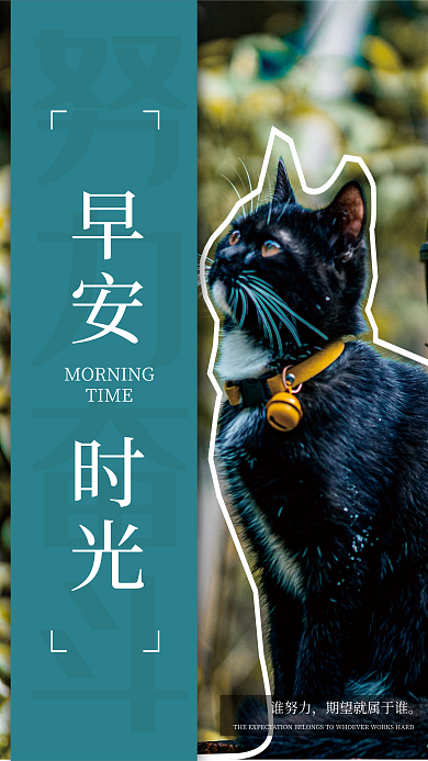 简约小清新努力奋斗早安时光日签海报