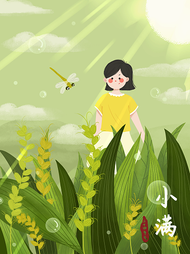 二十日小满麦子成熟小女孩在田野蜻蜓
