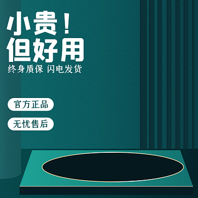 墨绿色电商小贵但好用主图