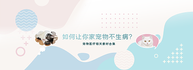 宠物医疗网页banner