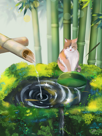 夏天在西瓜的猫