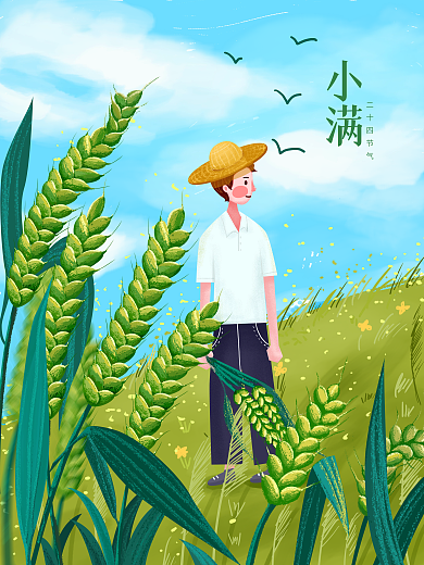 二十四节气小满万物初始盈满插画