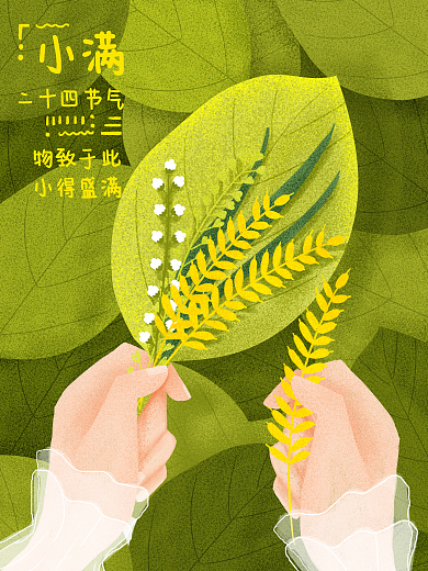 二十四节气之小满二十四节气小满