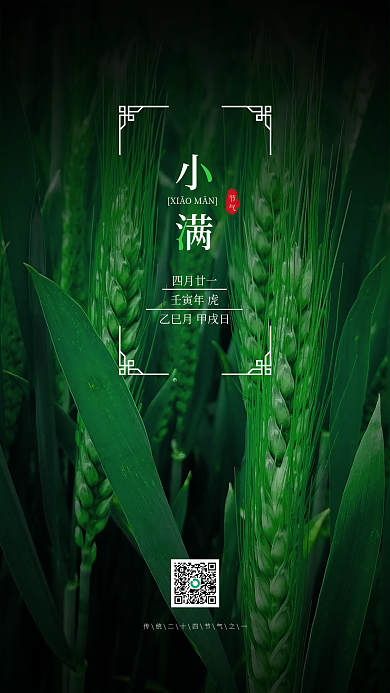 二十四节气小满节气四月廿一海报
