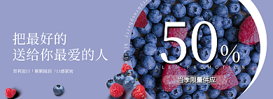 banner网页50智利进口食品简洁蓝莓树莓