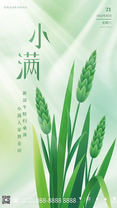 简约小满星期六21节气海报