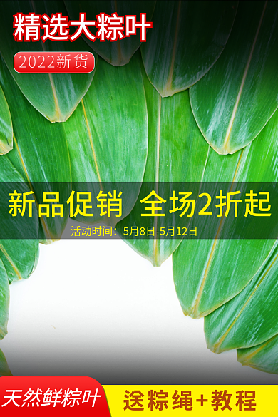 端午节粽叶精选大粽叶活动时间主图直通车图活动图