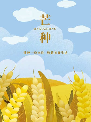 节日节气麦田麦穗插画海报宣传页