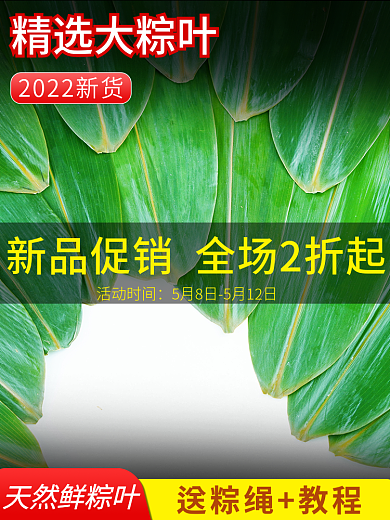 端午节粽叶精选大粽叶活动时间主图直通车图活动图