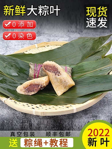 端午节粽叶新鲜大粽叶主图直通车图活动图