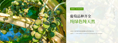葡萄采摘地址
