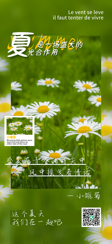 夏季小清新小雏菊宣传海报