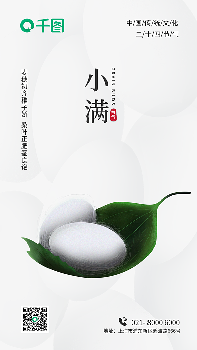 小满小暑中国传统节日二十四节气地产海报