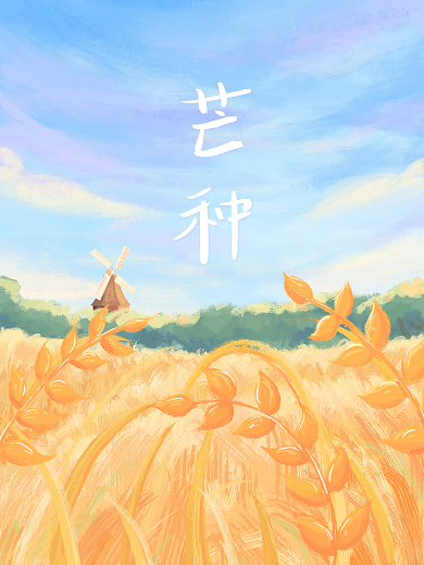 芒种金黄色女孩麦田