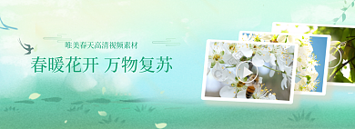 春暖花开立春海报banner嫩绿色