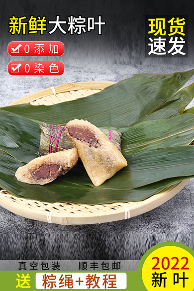 端午节粽叶新鲜大粽叶主图直通车图活动图