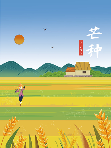 节气芒种农田稻田稻草人麦田手绘插画