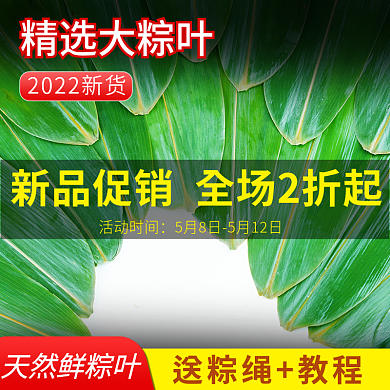 端午节粽叶精选大粽叶活动时间主图直通车图活动图