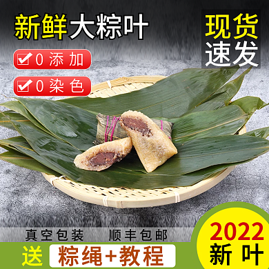 端午节粽叶新鲜大粽叶主图直通车图活动图