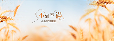 小清新小满节气摄影图banner
