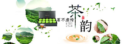 绿色茶叶沏一壶茶馥郁一室