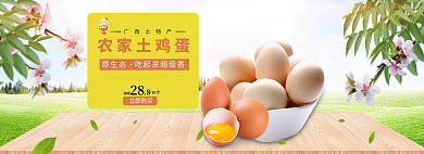 鸡蛋网站广西土特产农家土鸡蛋大图