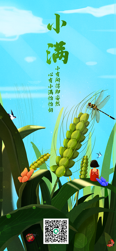 小麦春天小满启动页