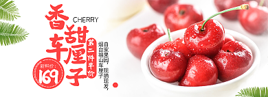 水果蔬菜第二件半价自家果园