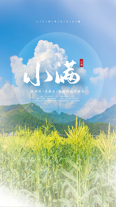 简约大气小满节气海报