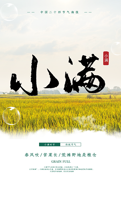 简洁清新传统节气小满海报