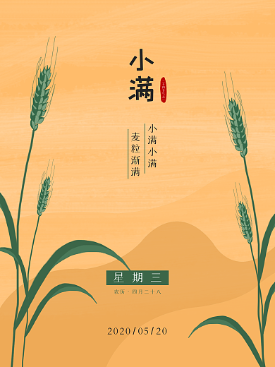 小满传统24节气麦穗