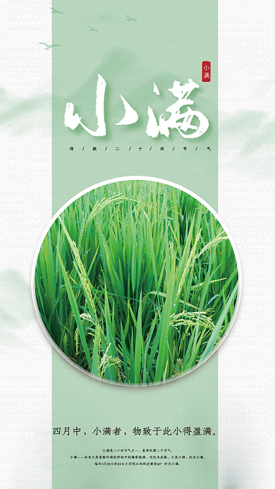 简约大气小满但还未成熟节气海报
