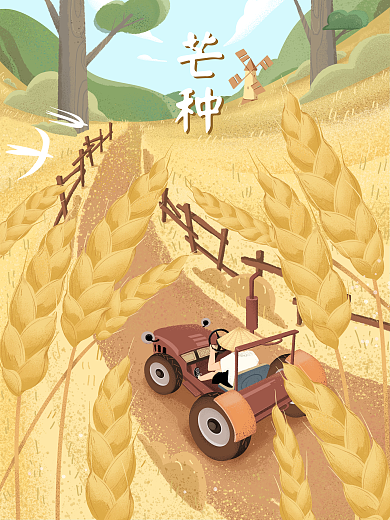 芒种节气芒种丰收插画