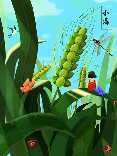 小满节气海报麦穗小麦青稞水稻麦子夏天夏季