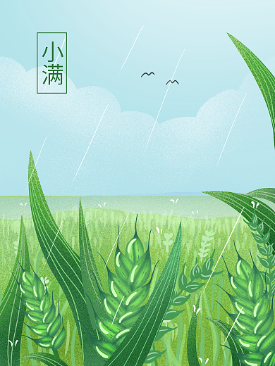 小满二十四节气清新绿色麦穗手绘插画