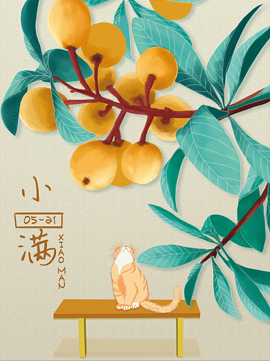 手绘二十四节气小满0521宣传海报